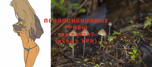 скорость Пролетарск