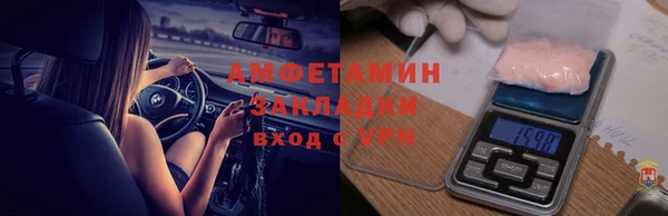 гидра Бронницы