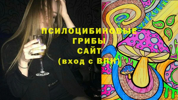 гидра Бронницы