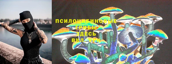 COCAINE Бородино