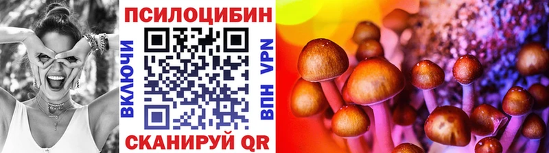 Псилоцибиновые грибы MAGIC MUSHROOMS  цены   blacksprut вход  Верея 